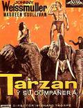 Постер из фильма "Тарзан и его подруга" - 1