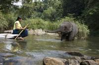 Кадр Chandani: The Daughter of the Elephant Whisperer