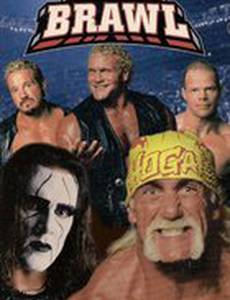 WCW Жёсткая драка