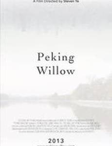 Peking Willow