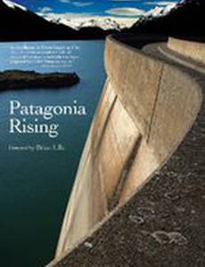 Patagonia Rising
