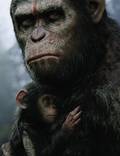 Постер из фильма "Рассвет планеты обезьян" - 1