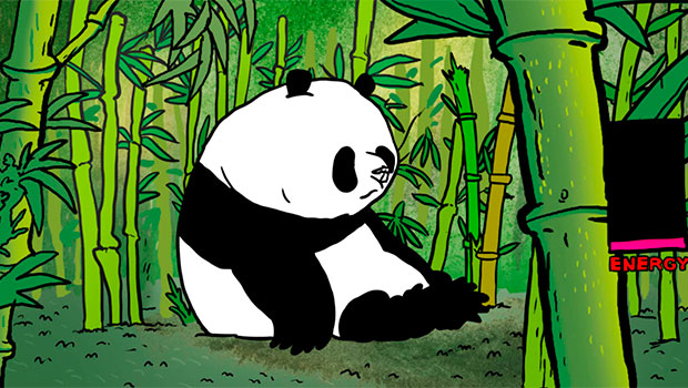 кадр из фильма "Панда", блок фестивальных хитов