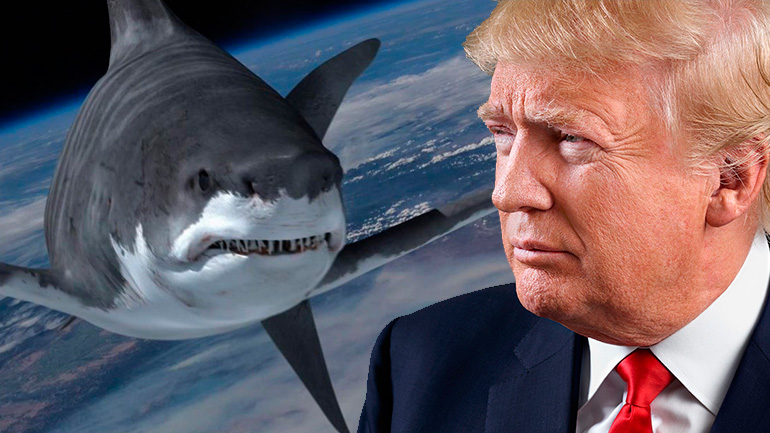 Трамп и "Акулий торнадо"