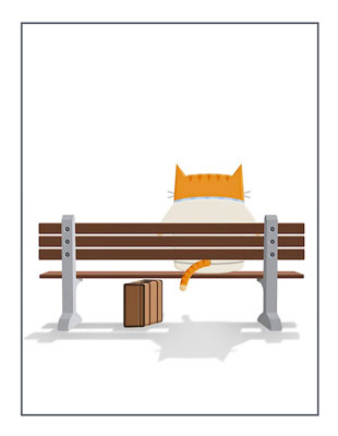 Коты как знаменитые киногерои. 