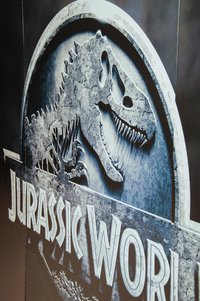 Фотограф: Анастасия Бибик