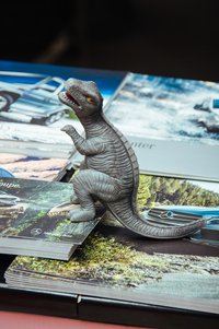 Фотограф: Анастасия Бибик