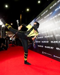 <p class="MsoNormal">Ниндзя</p>