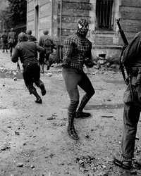 <p>Человек-паук и американские солдаты на улицах Парижа, 1944</p>