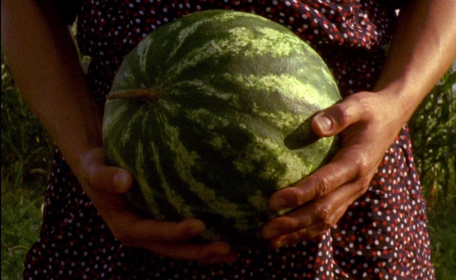 кадр из фильма "Лида"