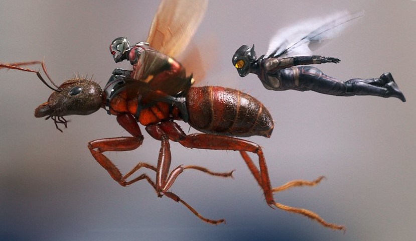 кадр из "Человека-муравья и Осы"