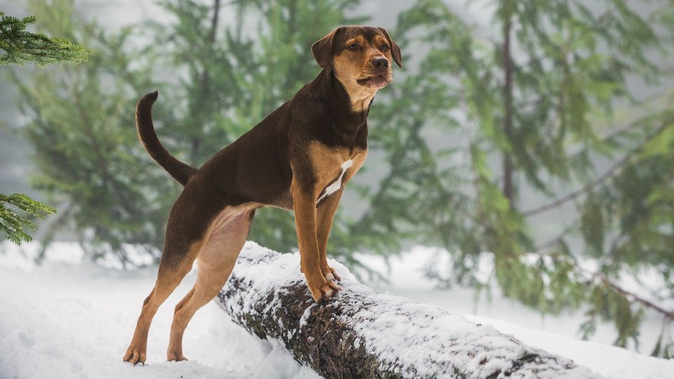 Лучшая женская роль - главная героиня "Путь домой"