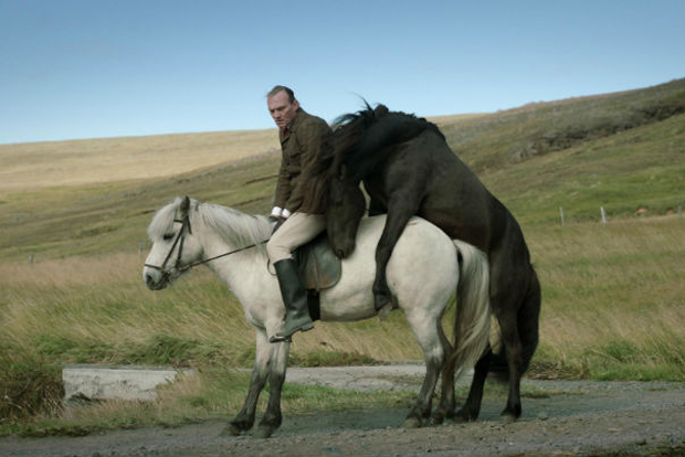 ОМКФ 2014. День 7: зрелая тусовщица, Даррен Аронофски, кони и руки