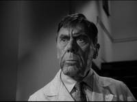 Кадр Тарантул