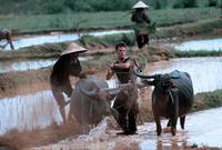 Кадр Военные потери