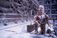 Кадр 12 обезьян