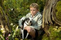 Кадр Путешествие Гектора в поисках счастья