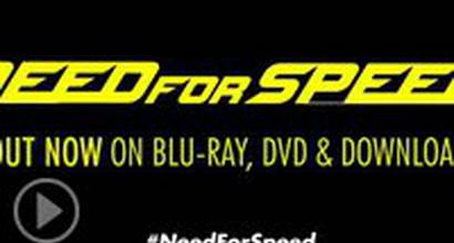 Фрагмент №15