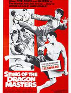 Жало мастера-дракона