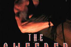 Чистильщик