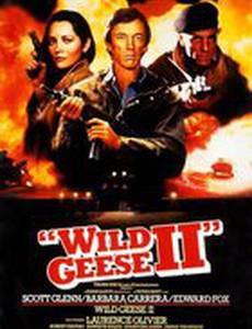 Дикие гуси 2