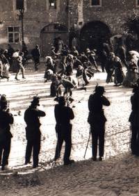 Кадр Тысячелетняя пчела