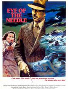 Ушко иголки