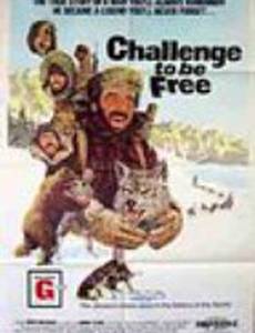 Challenge to Be Free
