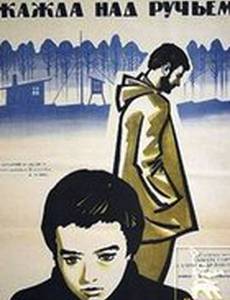 Жажда над ручьем