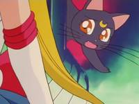 Кадр Красавица-воин Сейлор Мун Супер Эс