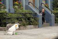 Кадр Как я встретил вашу маму