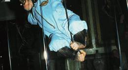 Кадр из фильма "Детектив Шимпански" - 2