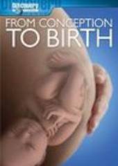 From Conception to Birth