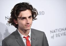 Звезда фильма «Зови меня своим именем» попал на Netflix