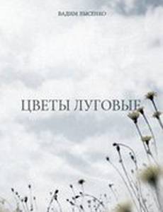 Цветы луговые