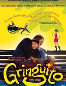 Маленький Гринго