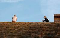 Кадр Смерть на похоронах