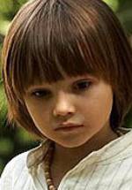 Максим Сорокин фото