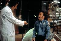 Кадр Животное