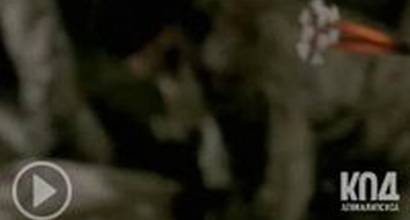 Музыкальное видео 