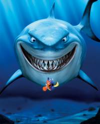 Постер В поисках Немо