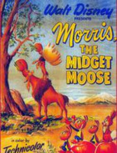 Моррис, карлик-лось