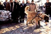 Кадр Зов предков