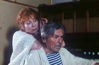 Кадр Цветы календулы