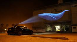 Кадр из фильма "Гонка на вымирание" - 1