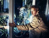 Кадр Вторжение похитителей тел