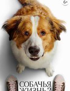 Путешествие хорошего пса 