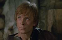 Кадр И на камнях растут деревья