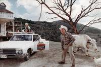 Кадр Возвращение надоедливой букашки