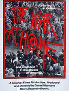 Домашняя война